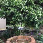 Trần Dung ở Hà Đông, Hà Nội - Mình 35 tuổi sống ở HN. Hiền l