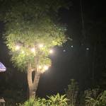 Huyy ở Long Biên, Hà Nội - Vui ve