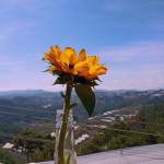 kết bạn Gia Nguyễn cùng tìm người yêu