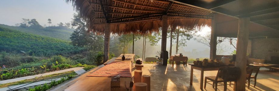 Huy Trình Cover Image