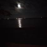 Quoc trịnh - tim ban trai da ly hon qua so dien thoai