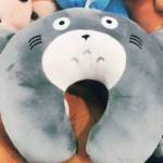 Hiếu ở Cà Mau, Cà Mau - Nothing