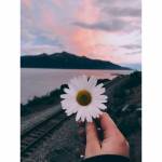 Min - tìm bạn gái đã ly dị chồng