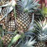 Bảo ở Long Thành, Đồng Nai - Đã ly thân