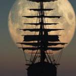 Hùng Nguyễn Profile Picture