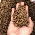 Hồ Như Hưng - tim ban trai da ly hon qua so dien thoai