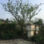 Nguyễn hữu ở Hương Trà, Thừa Thiên Huế - Vui vẻ hoà đồng