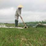 Son Vu ở Tiên Lãng, Hải Phòng - Vũ Sơn 33t muôn tim phu nu tam