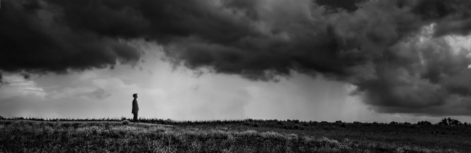 Linh Bui Cover Image