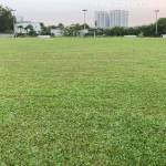 Thanh ở Quận 1, TP Hồ Chí Minh - dep trai