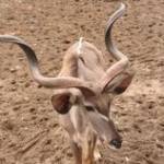 Cuong Tran ở Ba Đình, Hà Nội - Vui tính cởi mở.thẳng thắn châ