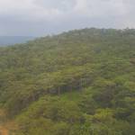 Long ở Ba Đình, Hà Nội - 