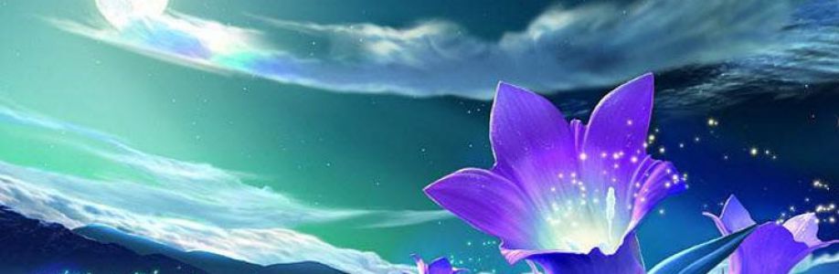 vũ hoàng long Cover Image