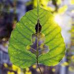 Linh ở Thủ Dầu Một, Bình Dương - Hi