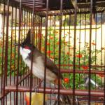 Tien ở Biên Hoà, Đồng Nai - Muon tim ban