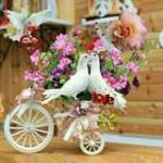 Hoàng Nguy ở ,  - 