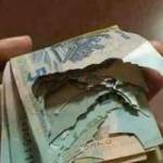 Đấu Hồ Phả ở ,  - 