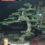 Triệu Tran ở Cai Lậy, Tiền Giang - Vui tính.có lúc sống noi tâm