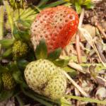 Khanh ở Pleiku, Gia Lai - Tìm người tâm sự