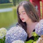 Hoa Nguyễn ở ,  - 