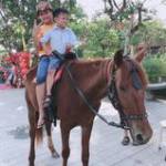 Tiến Dũng  ở ,  - 