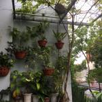 Cam ở Thanh Khê, Đà Nẵng - La viet kieu song o da nang. M