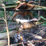 huy trọng ở Điện Biên Phủ, Điện Biên - bình thường