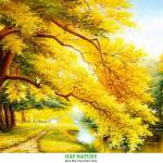 DoPhuTai ở Bình Thạnh, TP Hồ Chí Minh - 