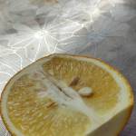 HoangLinh ở Ứng Hòa, Hà Nội - Cao, thật lòng, yêu hết mình..