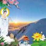 Trứ Nguyễn ở Biên Hoà, Đồng Nai - Là người chân thật thẳng thắn