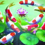 minhthien ở Bắc Ninh, Bắc Ninh - chưa kết hôn