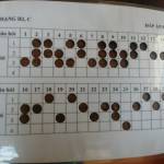 ĐongBao ở Gò Vấp, TP Hồ Chí Minh - Xuề xòa