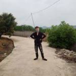 Độc Sói ở Cẩm Giàng, Hải Dương - Dễ tính ,hòa đồng