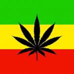 Kushl ở Hải Châu, Đà Nẵng - Ok