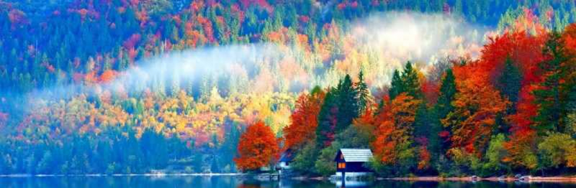 câ Nguyễn Cover Image