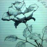 Tran hoang ở Hòa Vang, Đà Nẵng - Hoà đồng vui vẻ