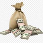 David Thai Profile Picture