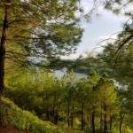 Nguyễn. Th ở Huế, Thừa Thiên Huế - Tìm fwb