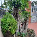 Vuong quoc ở Thanh Hóa, Thanh Hóa - Dễ gần. Kết bạn zalo cùng mình