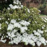 Michael ở Quận 1, TP Hồ Chí Minh - Vui ve, hoa dong