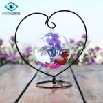 Hoàng long ở Bình Tân, TP Hồ Chí Minh - Ít nói rất hòa đồng, sở thích 