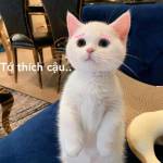 Hoàng Quân ở Quận 10, TP Hồ Chí Minh - Nhiệt tình