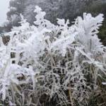 Noi Đau Ti ở Krông Búk, Đắk Lắk - Chung tình ghet sự phản bội