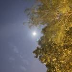 Bee tim ban les fem qua so dien thoai