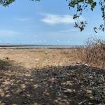 nghĩa ở Cà Mau, Cà Mau - vui vẽ hoạt bát