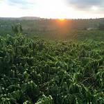 Tây Nguyên ở ,  - 