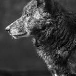 Chí Cường  ở Huế, Thừa Thiên Huế - Vui vẻ