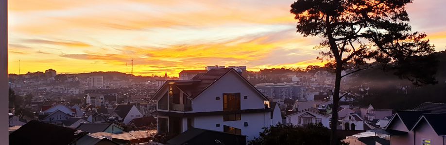 Phong Anh Cover Image