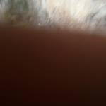 Alex phạm ở Bình Thạnh, TP Hồ Chí Minh - Vui tính