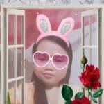 Ngọc Ánh N ở ,  - 